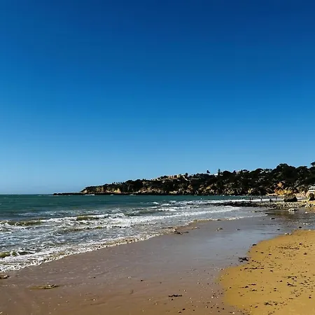 Bicos 7 By Check-in Portugal Apartment